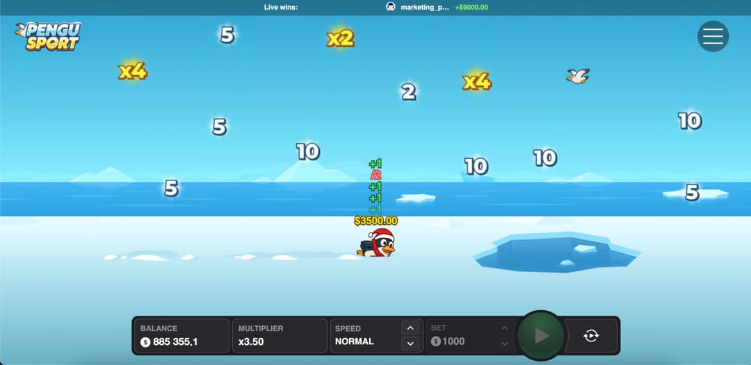 Pengu Sport: what is it?